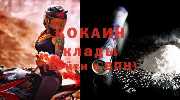 дживик Россошь