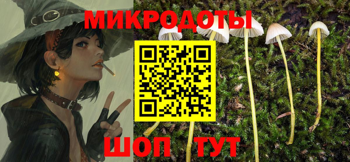Карталы  Галлюциногенные грибы прущие грибы  Вход с VPN 